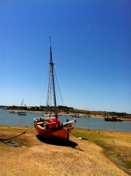 ALVOR 40