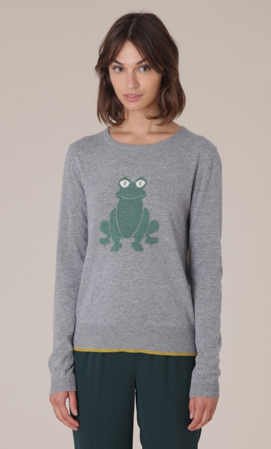 grey frog