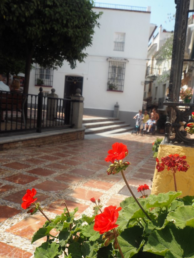 P6263969.jpg