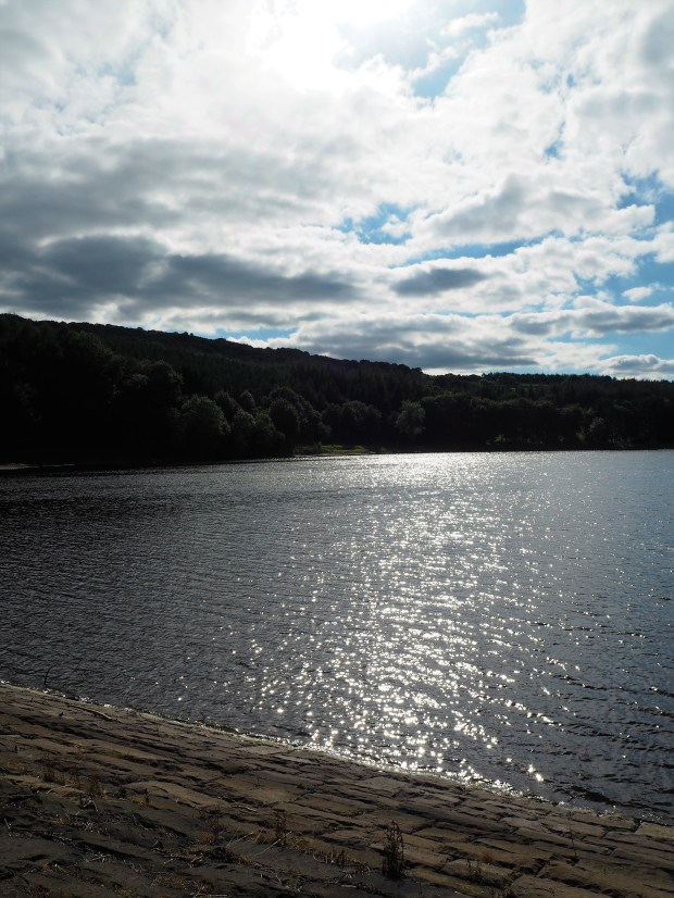 P8144706.jpg