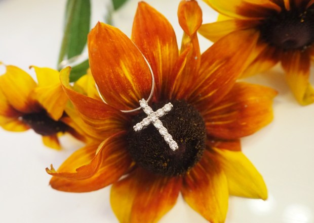 flower 22.jpg